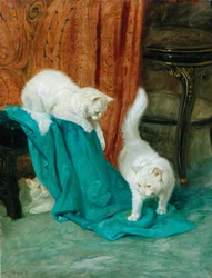 Gatti che giocano