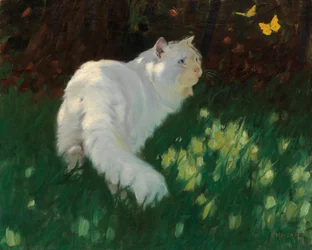Gatto bianco e farfalle