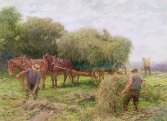 Fienagione