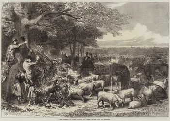 La difesa di Parigi, Bovini e pecore nel Bois de Boulogne