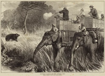 Il Principe di Galles nel Terai, caccia a un Orso