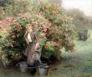 Il pozzo presso il biancospino
