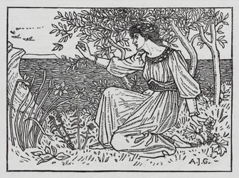 Hans Christian Andersen: I cigni selvatici