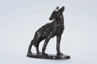 Coyote allerta (bronzo)
