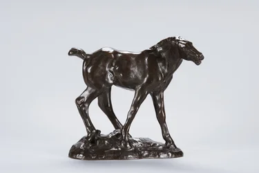 Puledro (bronzo)