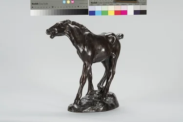 Puledro (bronzo)