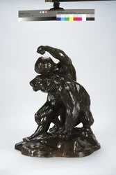 Puma e bambino