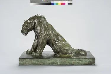 Puma di guardia