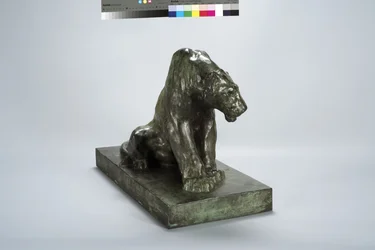 Puma di guardia