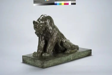 Puma di guardia