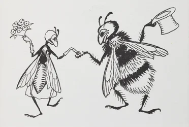 Una mosca e un