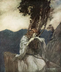 Brunilde bacia l