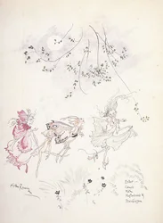 Entrano: Cobweb, Moth, Mustardseed & Peaseblossom. Illustrazione per "Sogno di una notte di mezza estate" di Shakespeare, c.1908
