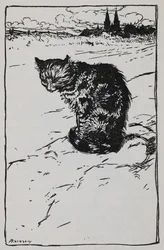 Illustrazione di un gatto da I musicanti di Brema