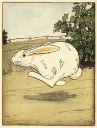 Peter non smise mai di correre, da La storia di Peter Coniglio, pub. 1916