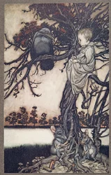 Presentò il suo strano caso al vecchio Solomon Caw, da Peter Pan nei Giardini di Kensington di J M Barrie (1860 - 1937), pub. 1906