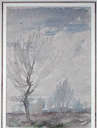 Studio di un albero