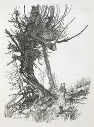 Il Gatto del Cheshire su un albero che guarda Alice