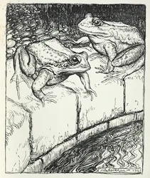 Le rane e il pozzo, illustrazione da 