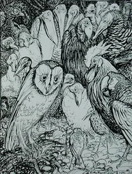 Il Gufo e gli Uccelli, illustrazione da 