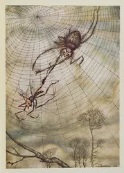 Il ragno e la mosca, illustrazione da 