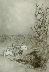 Il Coniglio Bianco, illustrazione da 