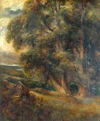 Studio di Alberi