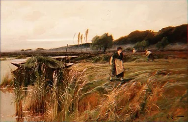 Raccolto estivo