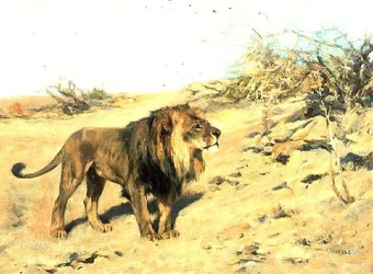Un leone tra i cespugli
