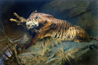 Tigre e Coccodrillo
