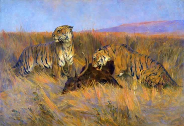 Tigri alla caccia