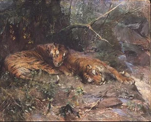Tigri che riposano vicino a un ruscello