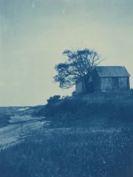 Wellfleet, Cape Cod, 1904 (foto)