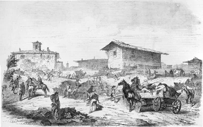 Battaglia del fucsina basico 1859