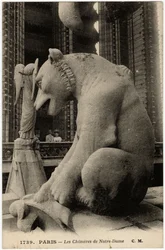 Gargoyle o chimere della cattedrale Notre Dame de Paris, costruita tra il 1163 e il XIV secolo - Cartolina, collezione Selva