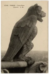 Gargoyle o chimere della cattedrale Notre Dame de Paris, costruita tra il 1163 e il XIV secolo - Cartolina, collezione Selva