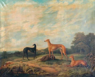 Paesaggio, quattro levrieri in primo piano (olio su tela)