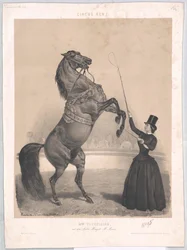 Vissuto intorno al 1860 Tourniaire