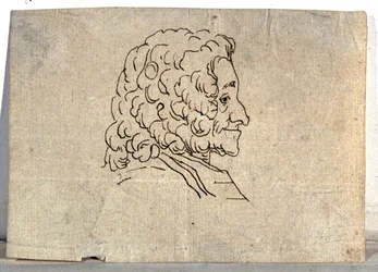 Voltaire, disegno