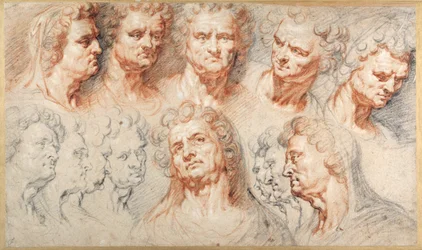 Studi di teste