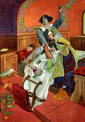La bisbetica domata