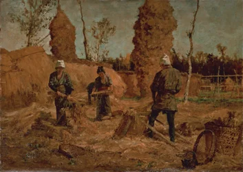 Raccolta