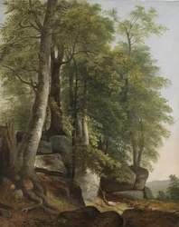 Paesaggio con rocce e alberi