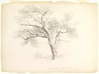 La quercia castagna nella tenuta Hosack, Hyde Park, New York con cinque figure e un artista che disegna, 1838