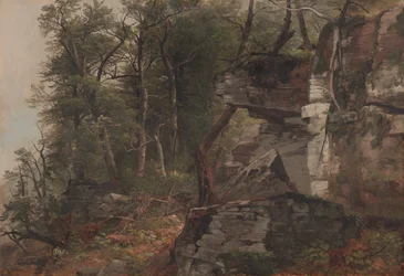 Alberi su una collina rocciosa, c.1849