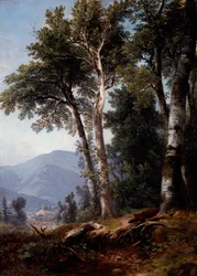 Paesaggio boschivo, 1850 circa (olio su tela)