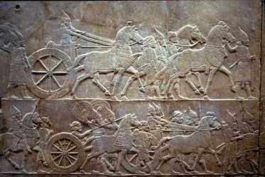 Assurbanipal alla battaglia di Til-Tuba