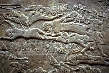 Assurbanipal alla battaglia di Til-Tuba, 650-620 a.C.