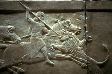 Re Assurnasirpal II durante una caccia reale al leone, 650-620 a.C.