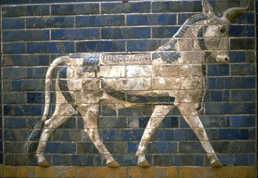 La Porta di Ishtar, Babilonia. Rilievo di toro, VI secolo a.C.